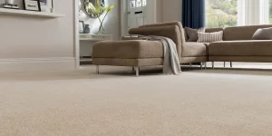 Carpet Cleaning Tip